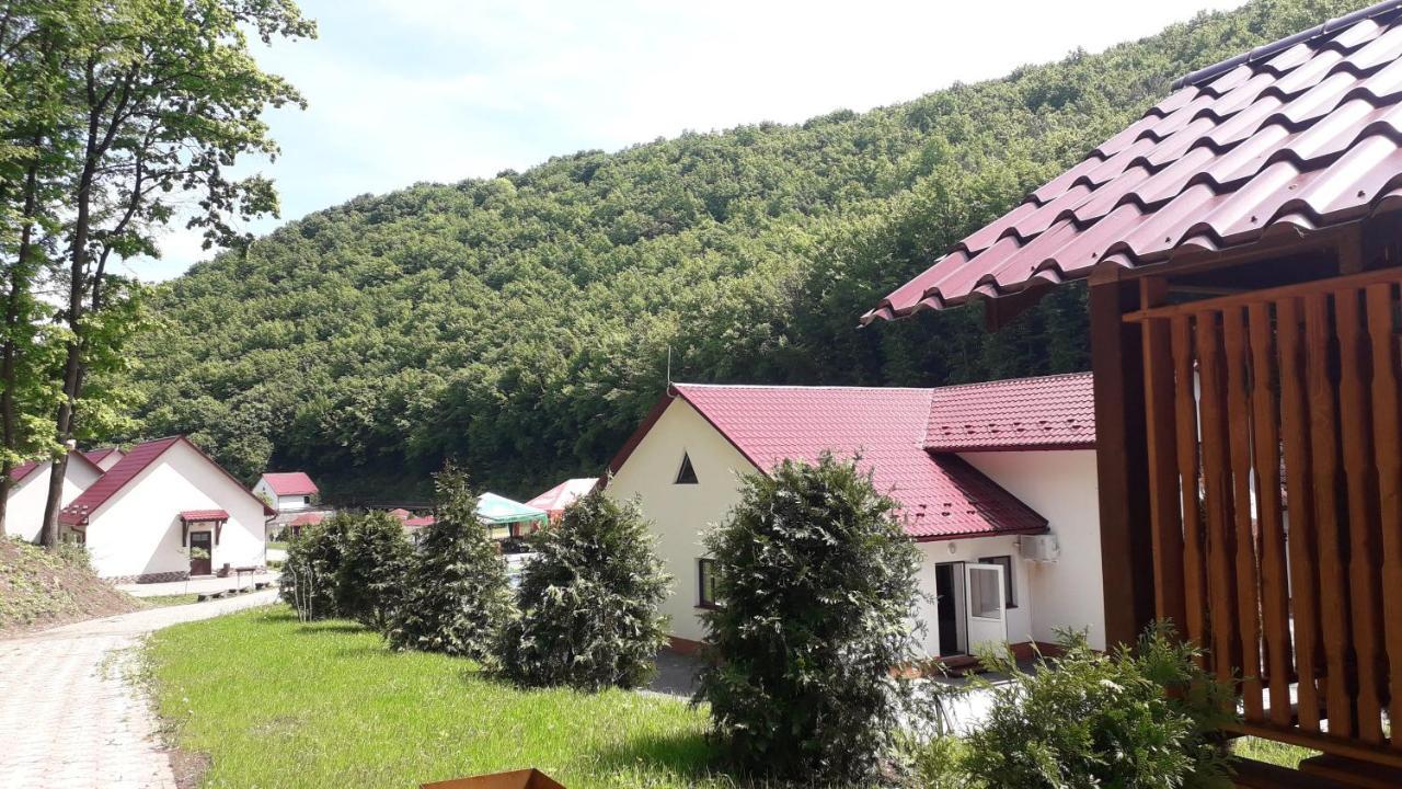 Mishyn-City Hotel Dobrovlyany Exterior foto